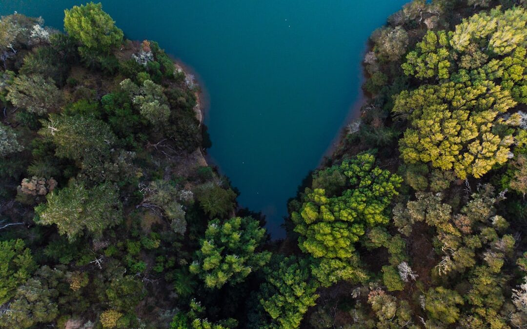 Los secretos de la fotografía aérea: consejos y técnicas avanzadas