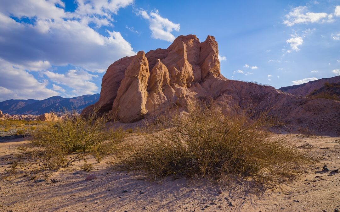 Los secretos de la fotografía en la naturaleza: técnicas avanzadas