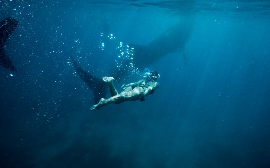 Los secretos de la fotografía en el océano: trucos submarinos